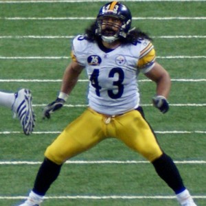 Troy Polamalu - Image