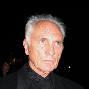 Terence Stamp - Image