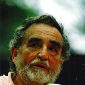 Vittorio Gassman - Image