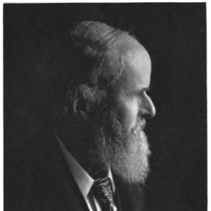 William De Morgan - Image