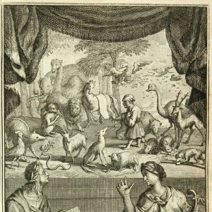 Phaedrus - Image