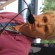 Susan Cooper - thumbnail