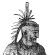 Cornstalk - thumbnail
