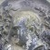 Robert Gilfillan - thumbnail