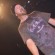 Jess Margera - thumbnail