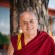 Matthieu Ricard - thumbnail