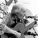 Charlie Byrd - thumbnail