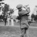 Harry Vardon - thumbnail