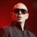 Pitbull - thumbnail