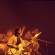 Steve Hackett - thumbnail