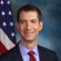 Tom Cotton - thumbnail