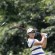 Yani Tseng - thumbnail