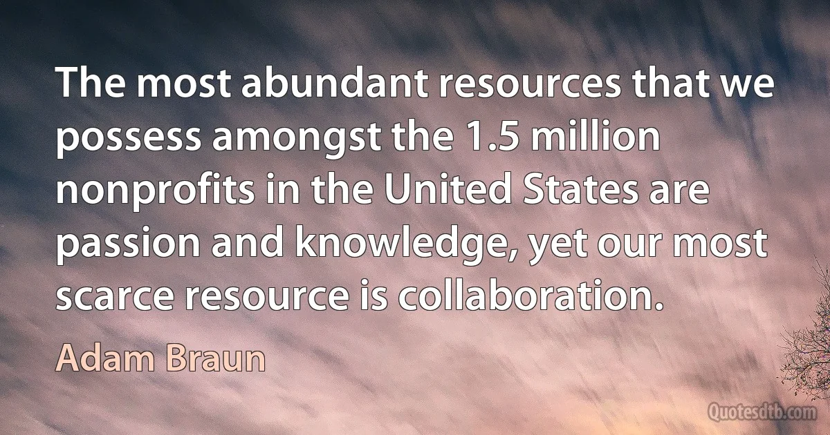 The most abundant resources that we possess amongst the 1.5 million nonprofits in the United States are passion and knowledge, yet our most scarce resource is collaboration. (Adam Braun)