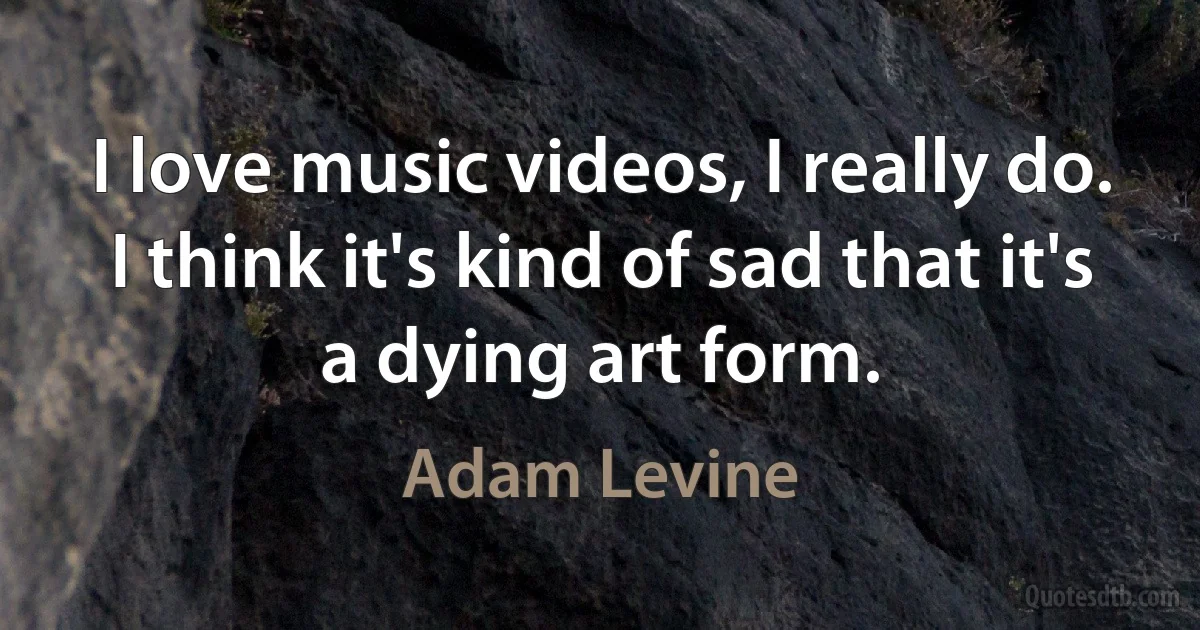 I love music videos, I really do. I think it's kind of sad that it's a dying art form. (Adam Levine)