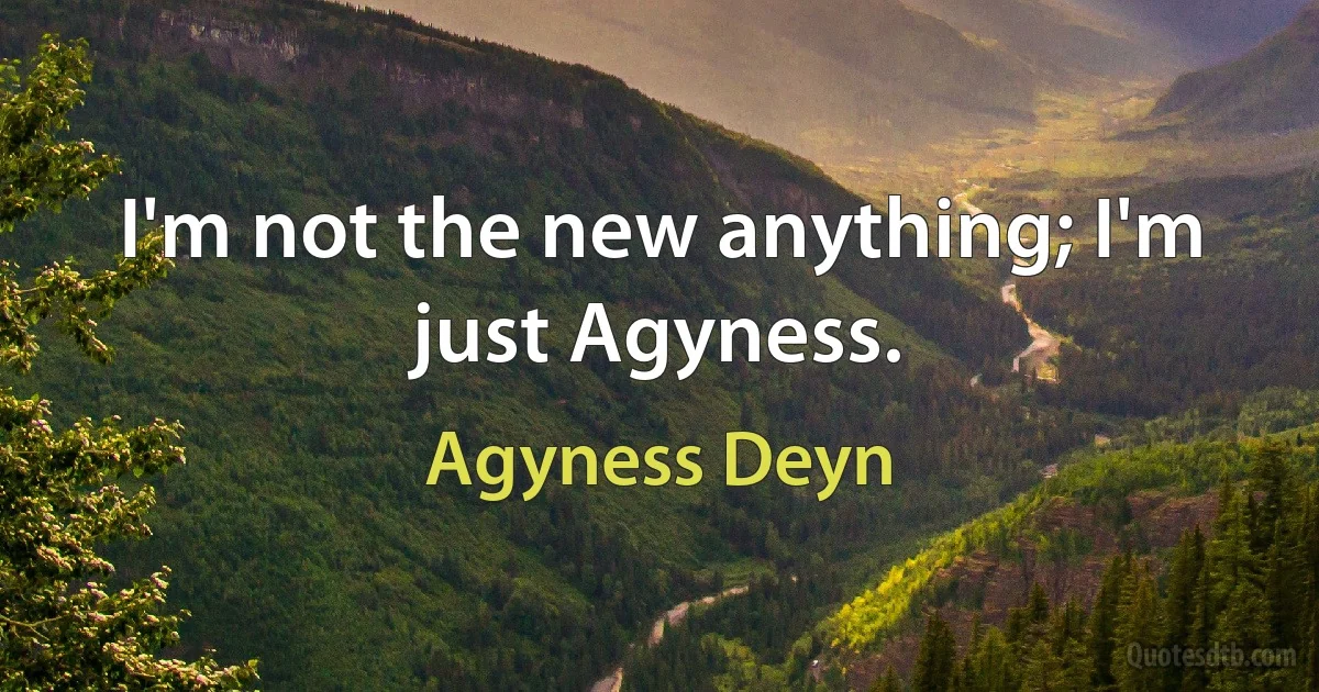 I'm not the new anything; I'm just Agyness. (Agyness Deyn)