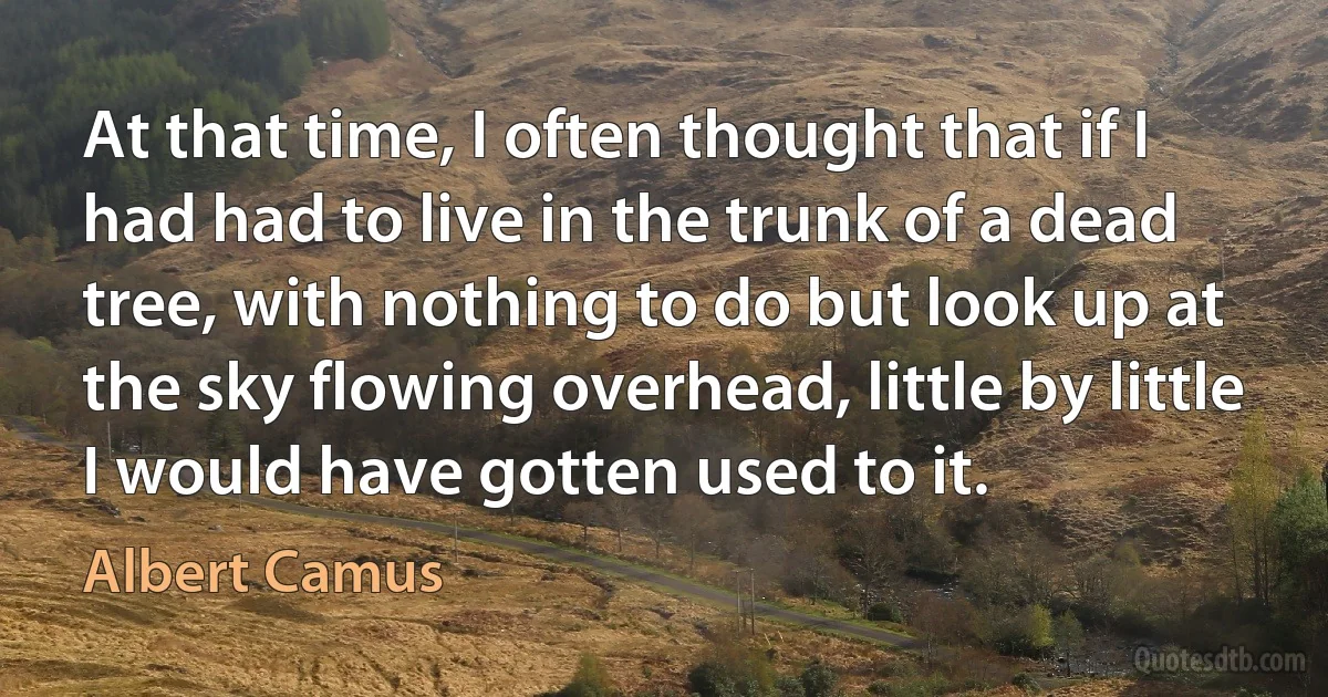 At that time, I often thought that if I had had to live in the trunk of a dead tree, with nothing to do but look up at the sky flowing overhead, little by little I would have gotten used to it. (Albert Camus)