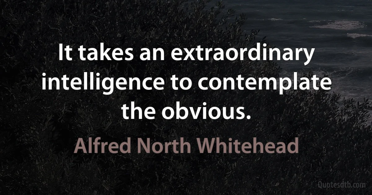 It takes an extraordinary intelligence to contemplate the obvious. (Alfred North Whitehead)