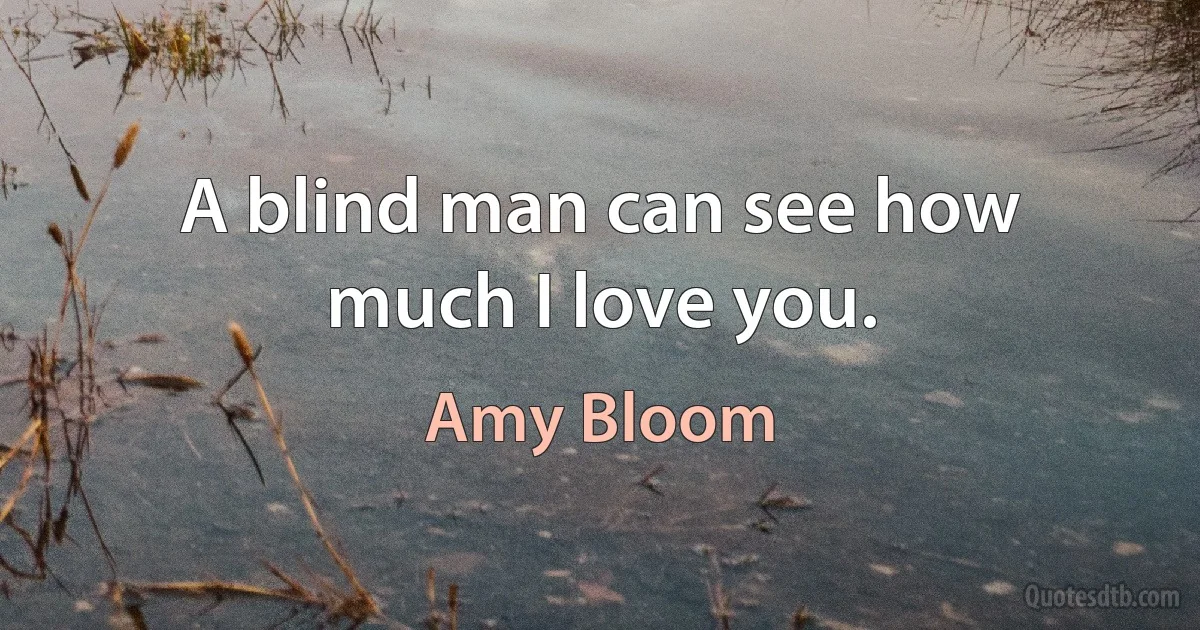 A blind man can see how much I love you. (Amy Bloom)