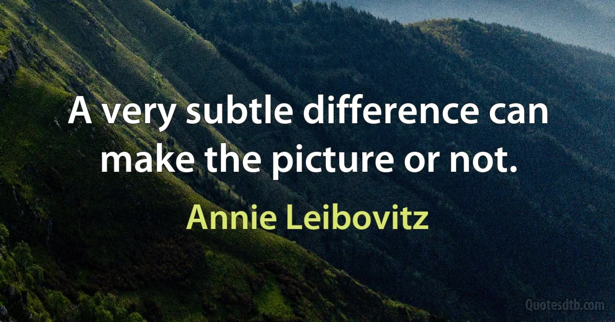 A very subtle difference can make the picture or not. (Annie Leibovitz)