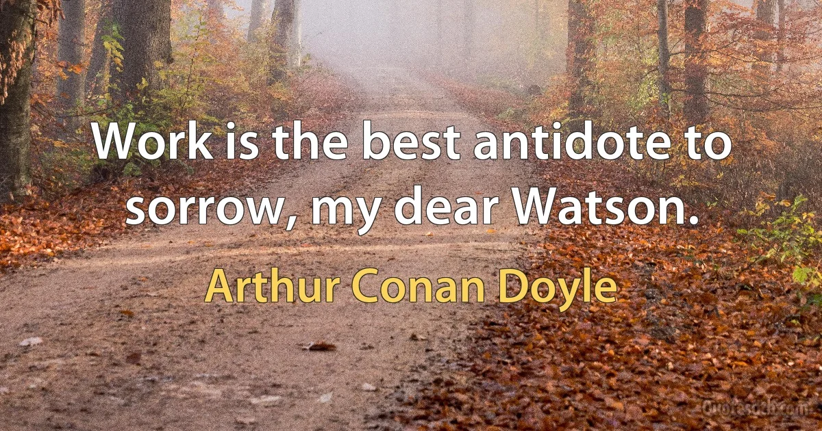 Work is the best antidote to sorrow, my dear Watson. (Arthur Conan Doyle)