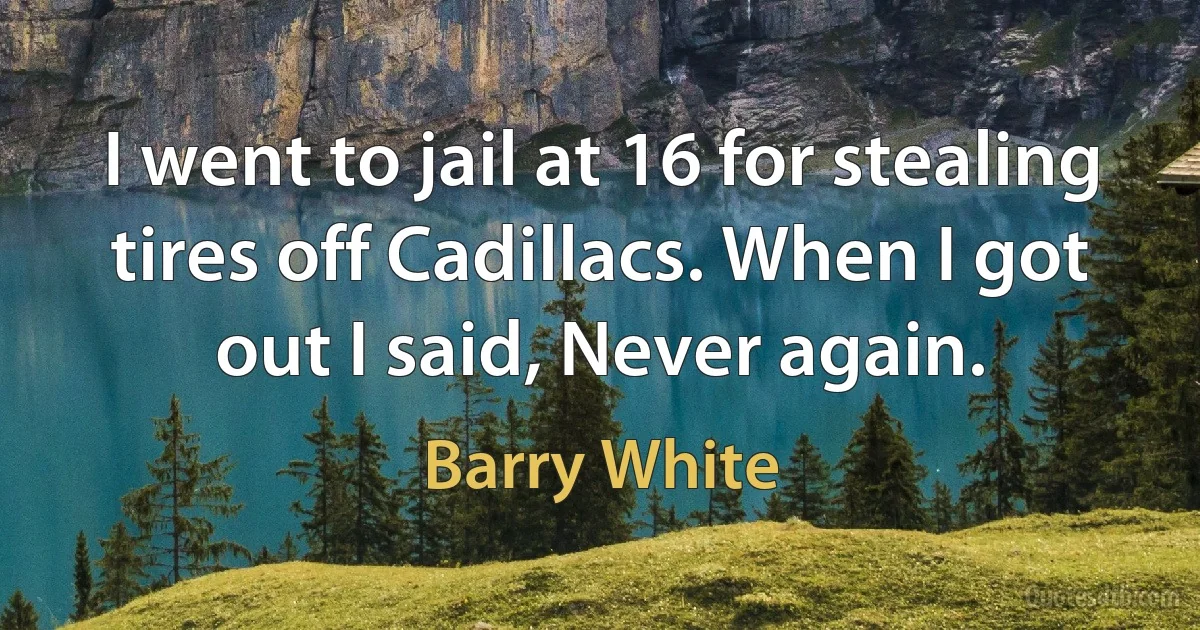 I went to jail at 16 for stealing tires off Cadillacs. When I got out I said, Never again. (Barry White)