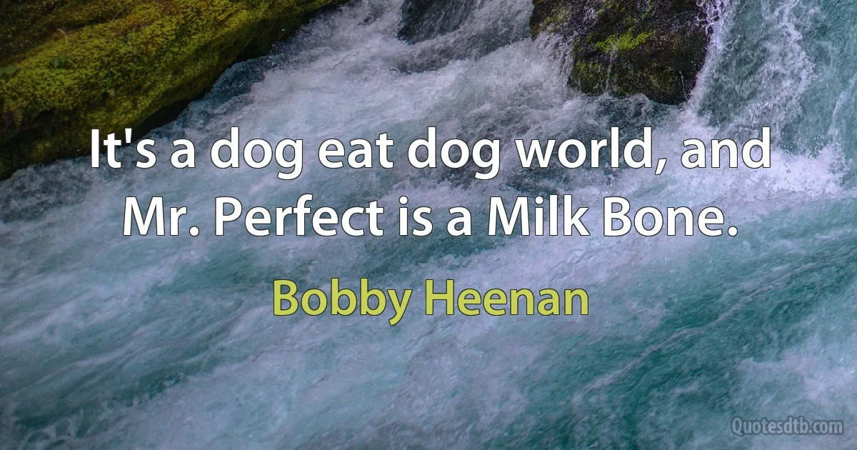 It's a dog eat dog world, and Mr. Perfect is a Milk Bone. (Bobby Heenan)