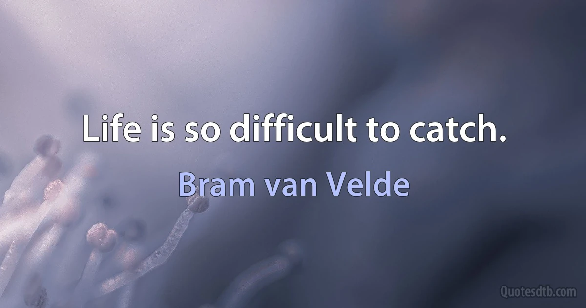 Life is so difficult to catch. (Bram van Velde)