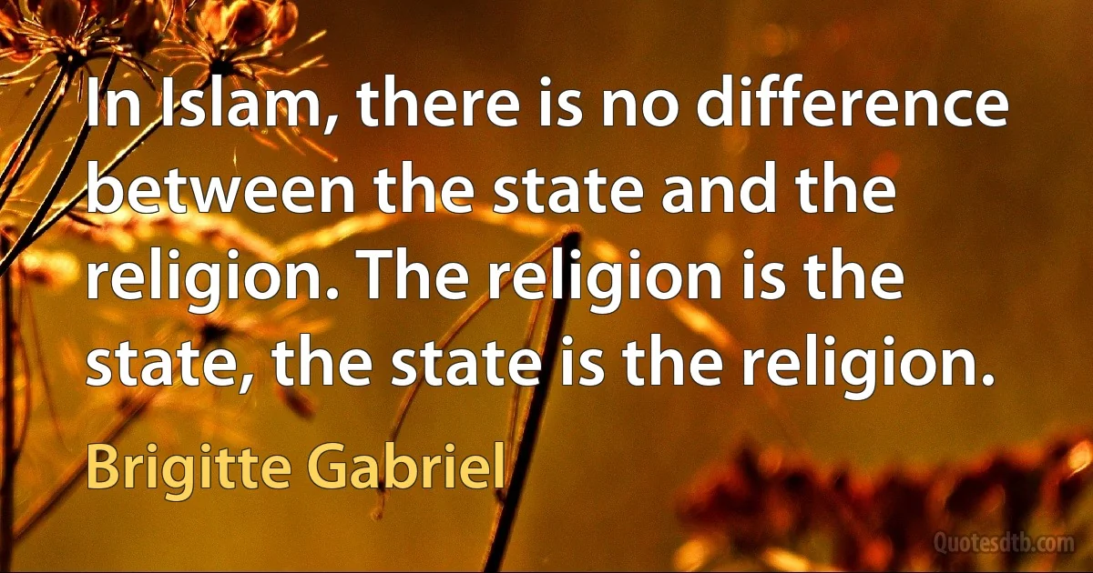 In Islam, there is no difference between the state and the religion. The religion is the state, the state is the religion. (Brigitte Gabriel)