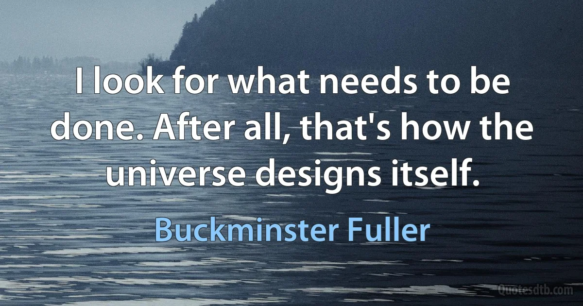 I look for what needs to be done. After all, that's how the universe designs itself. (Buckminster Fuller)