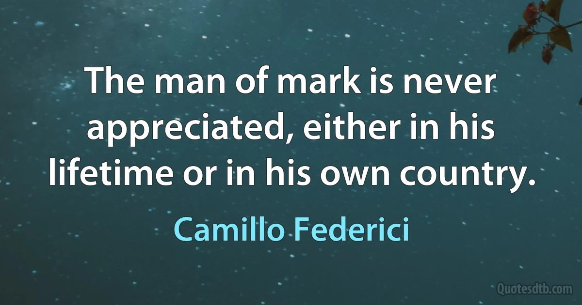 The man of mark is never appreciated, either in his lifetime or in his own country. (Camillo Federici)