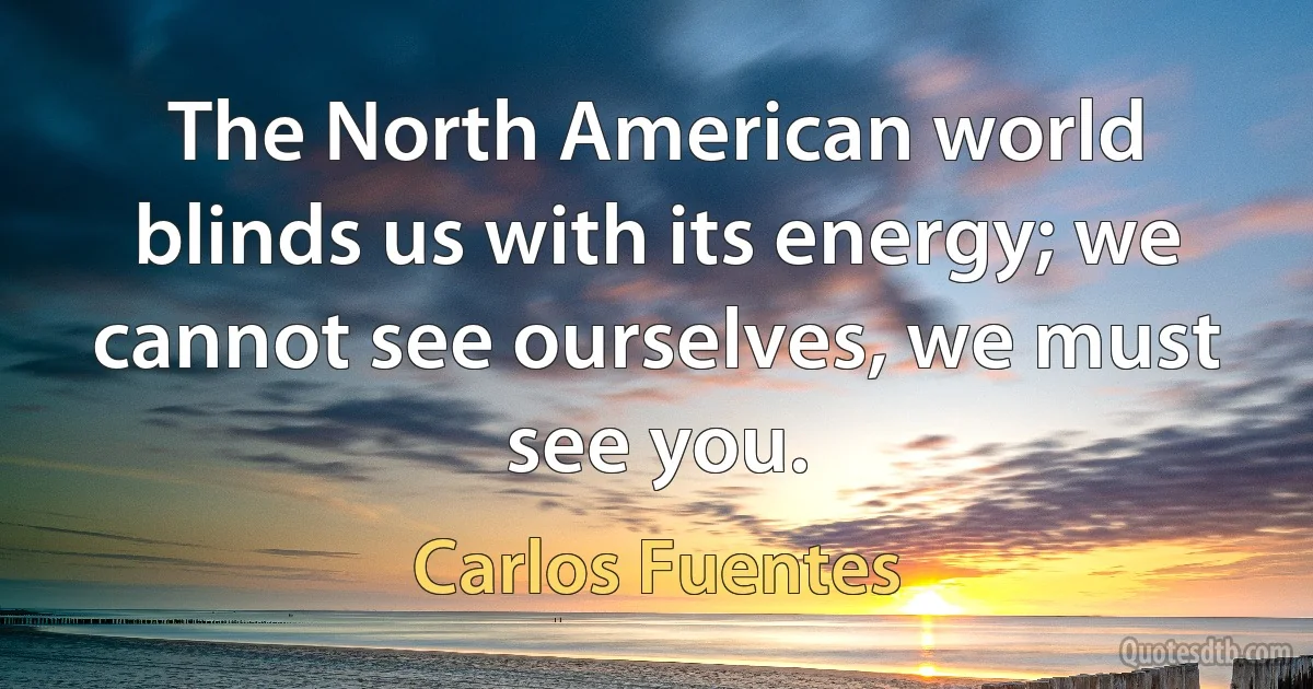 The North American world blinds us with its energy; we cannot see ourselves, we must see you. (Carlos Fuentes)