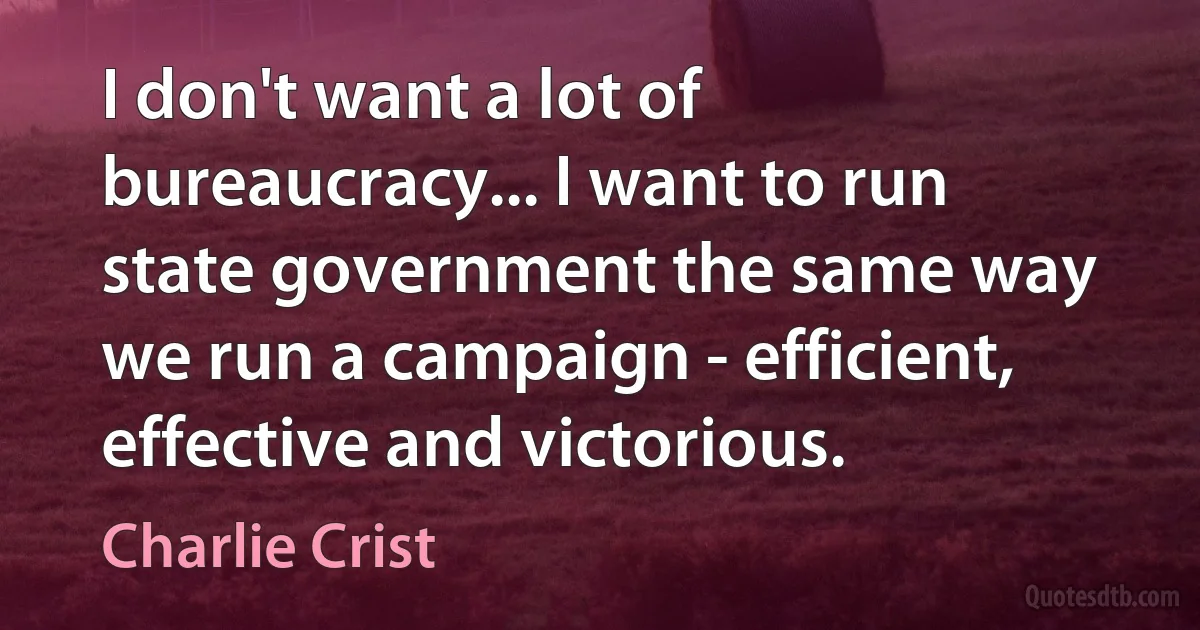 I don't want a lot of bureaucracy... I want to run state government the same way we run a campaign - efficient, effective and victorious. (Charlie Crist)