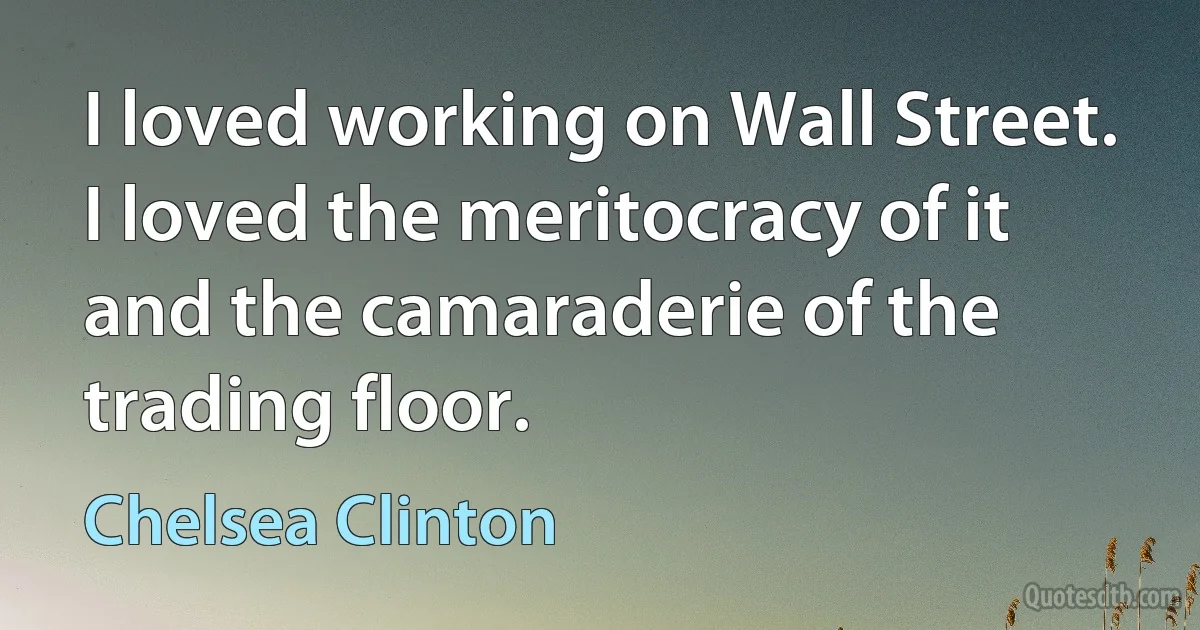 I loved working on Wall Street. I loved the meritocracy of it and the camaraderie of the trading floor. (Chelsea Clinton)