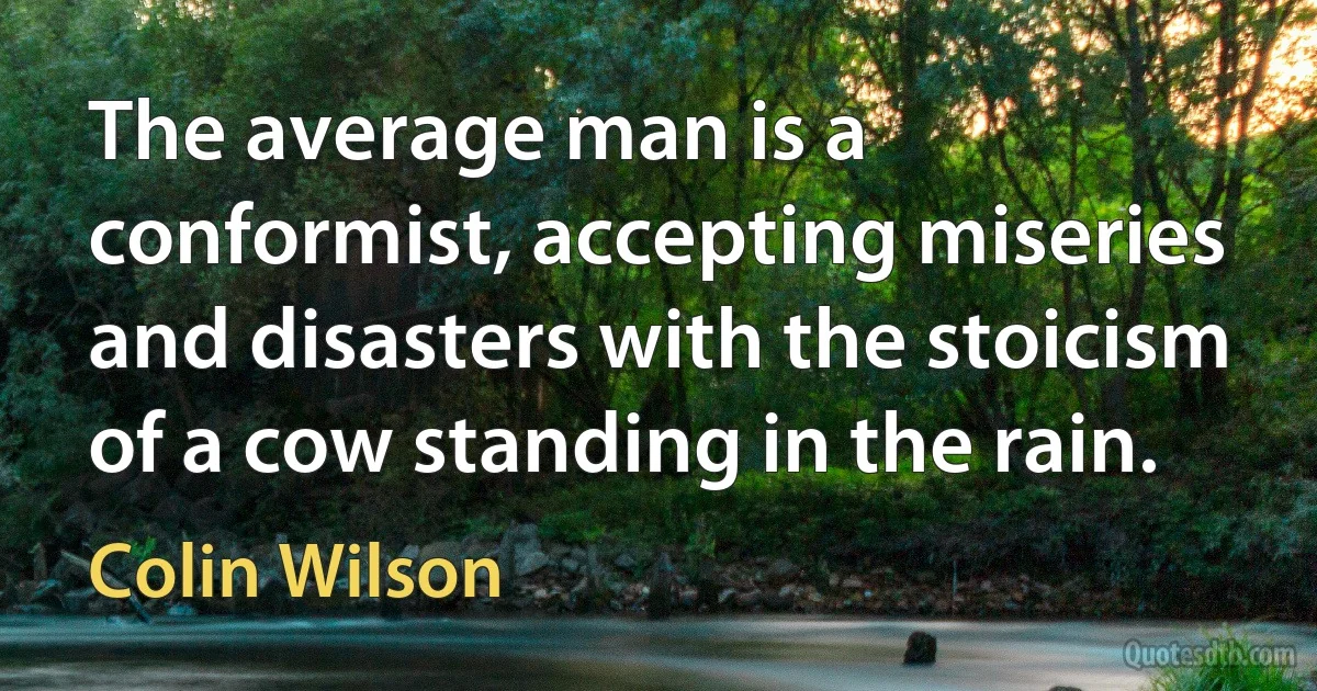 The average man is a conformist, accepting miseries and disasters with the stoicism of a cow standing in the rain. (Colin Wilson)