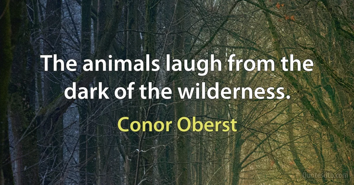 The animals laugh from the dark of the wilderness. (Conor Oberst)