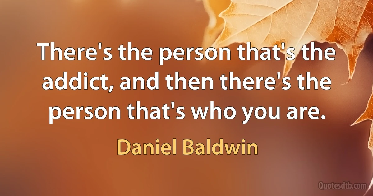 There's the person that's the addict, and then there's the person that's who you are. (Daniel Baldwin)