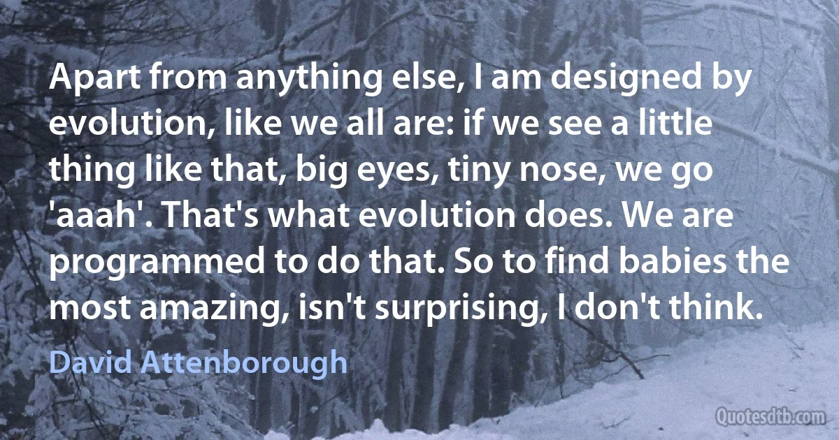 Apart from anything else, I am designed by evolution, like we all are: if we see a little thing like that, big eyes, tiny nose, we go 'aaah'. That's what evolution does. We are programmed to do that. So to find babies the most amazing, isn't surprising, I don't think. (David Attenborough)