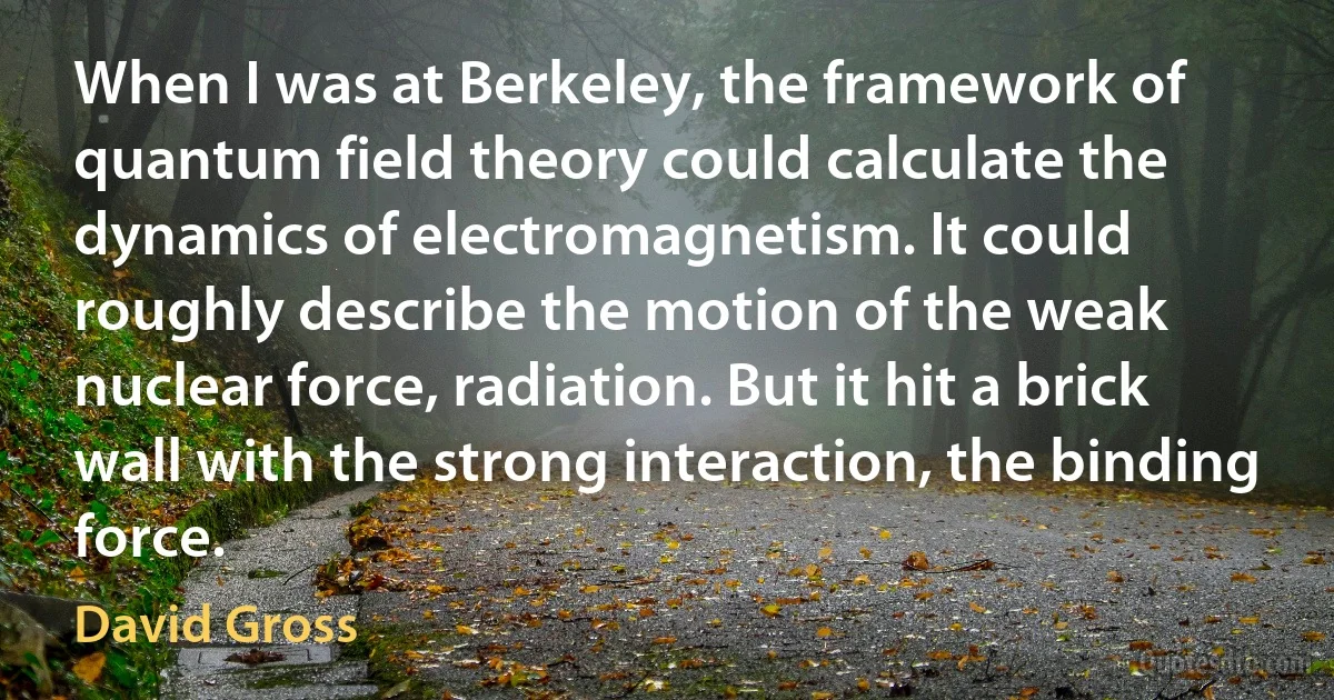 When I was at Berkeley, the framework of quantum field theory could calculate the dynamics of electromagnetism. It could roughly describe the motion of the weak nuclear force, radiation. But it hit a brick wall with the strong interaction, the binding force. (David Gross)