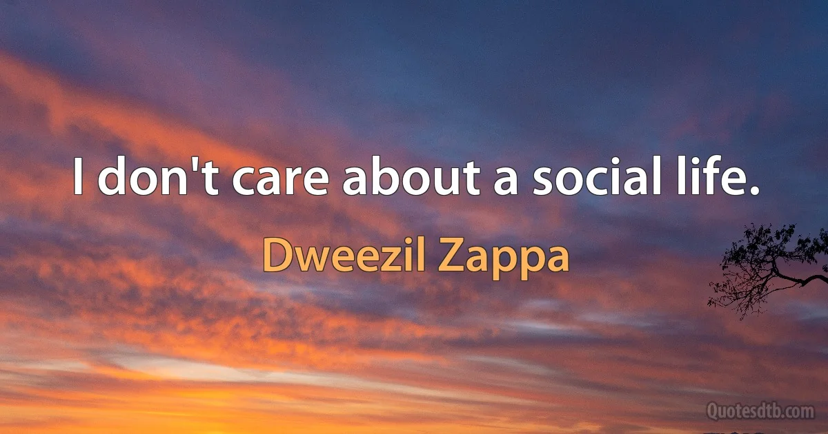 I don't care about a social life. (Dweezil Zappa)