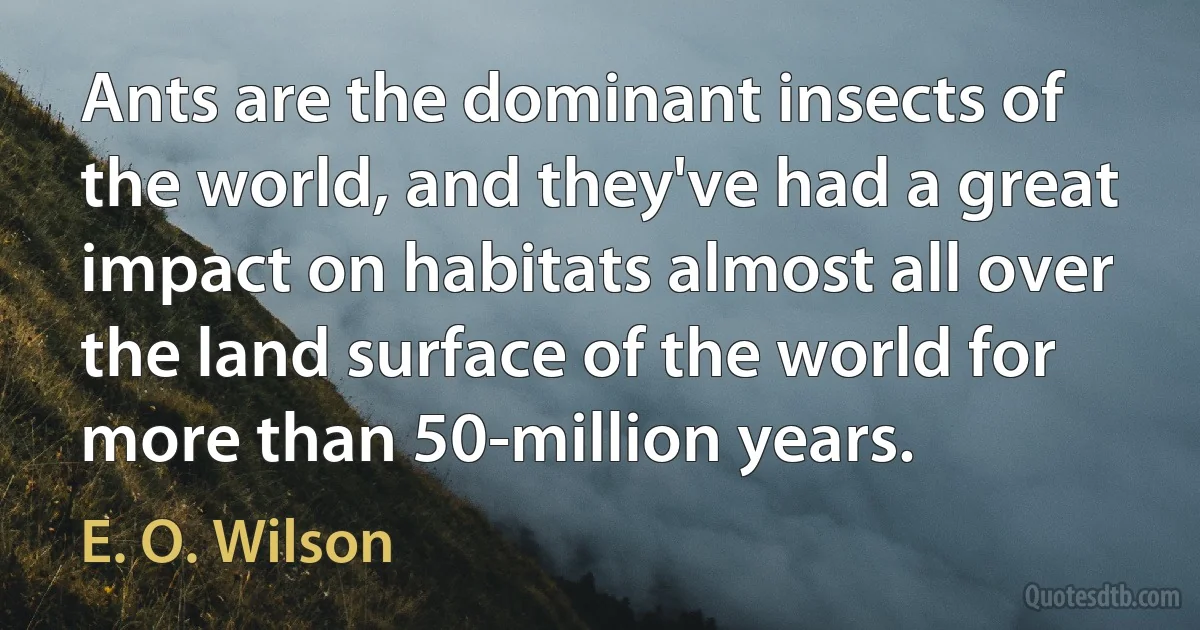 Ants are the dominant insects of the world, and they've had a great impact on habitats almost all over the land surface of the world for more than 50-million years. (E. O. Wilson)