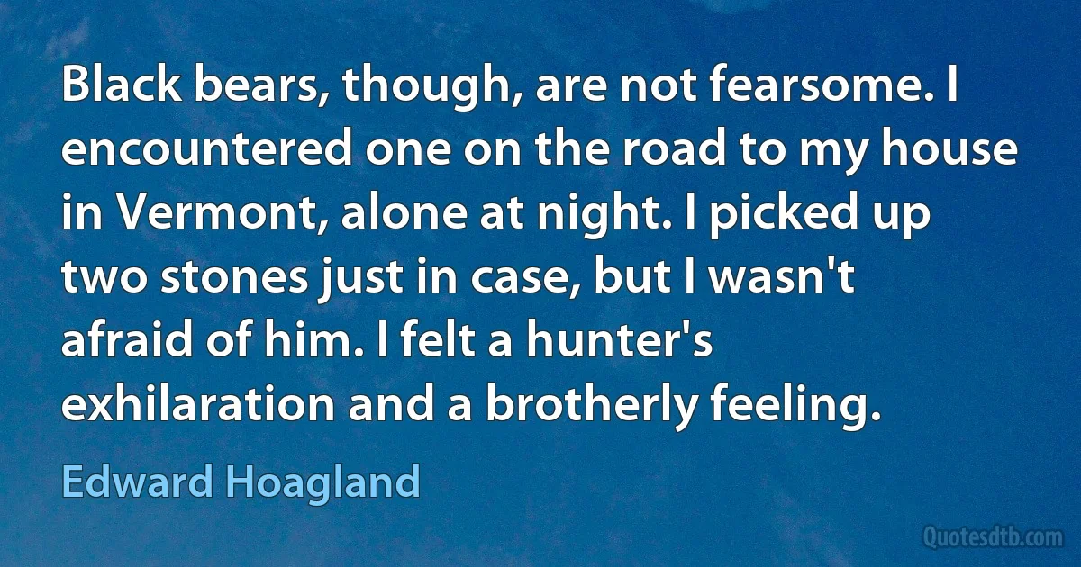 Black bears, though, are not fearsome. I encountered one on the road to my house in Vermont, alone at night. I picked up two stones just in case, but I wasn't afraid of him. I felt a hunter's exhilaration and a brotherly feeling. (Edward Hoagland)