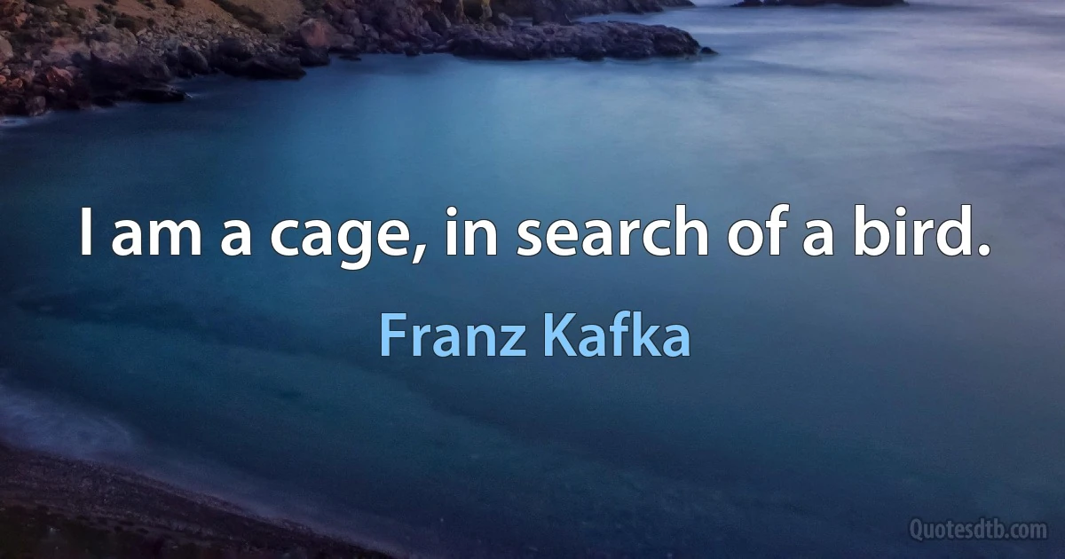 I am a cage, in search of a bird. (Franz Kafka)