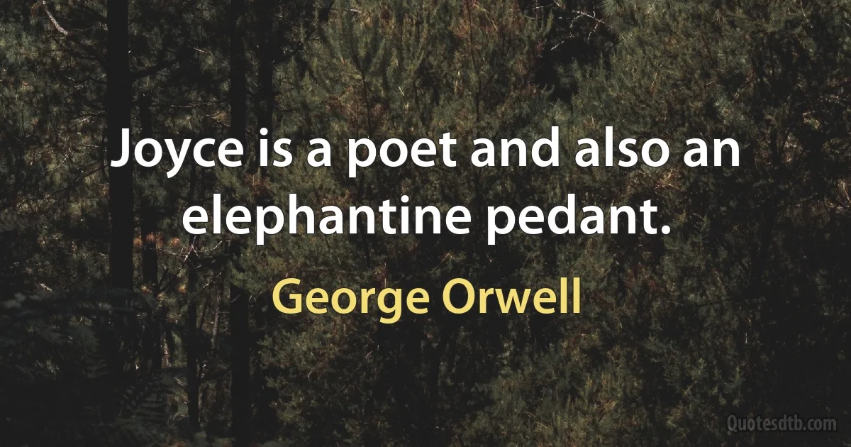 Joyce is a poet and also an elephantine pedant. (George Orwell)