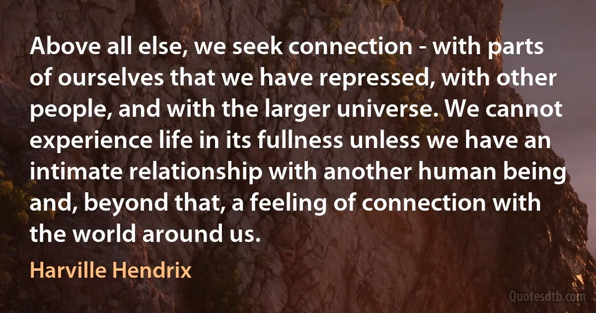 Above all else, we seek connection - with parts of ourselves that we have repressed, with other people, and with the larger universe. We cannot experience life in its fullness unless we have an intimate relationship with another human being and, beyond that, a feeling of connection with the world around us. (Harville Hendrix)