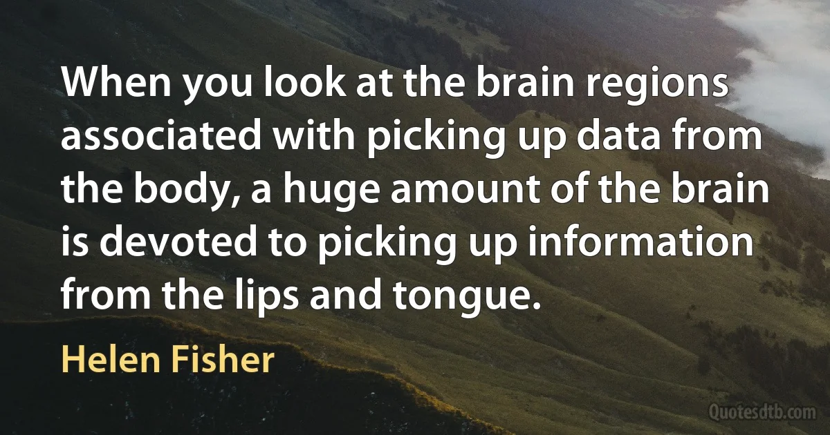 When you look at the brain regions associated with picking up data from the body, a huge amount of the brain is devoted to picking up information from the lips and tongue. (Helen Fisher)