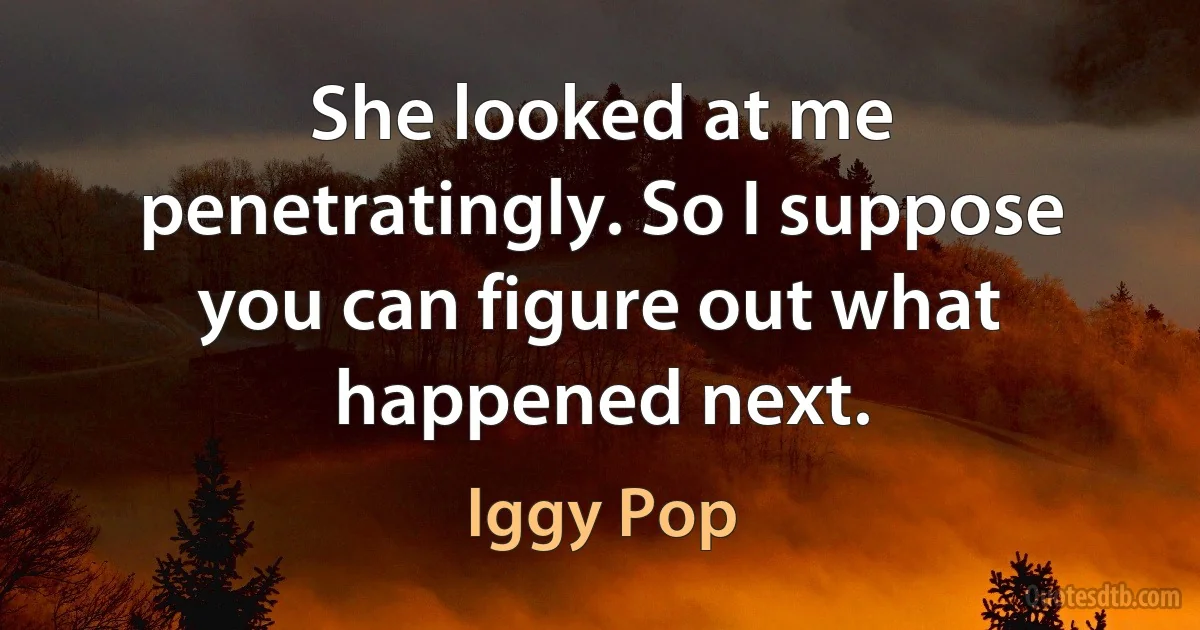 She looked at me penetratingly. So I suppose you can figure out what happened next. (Iggy Pop)