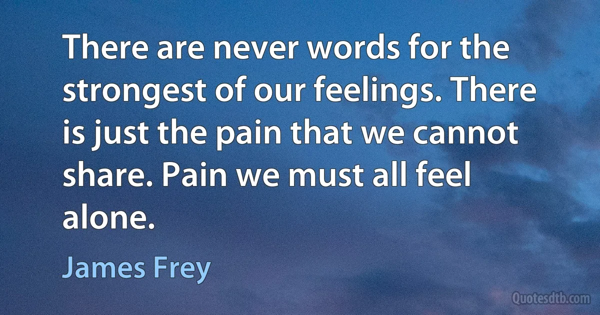 There are never words for the strongest of our feelings. There is just the pain that we cannot share. Pain we must all feel alone. (James Frey)