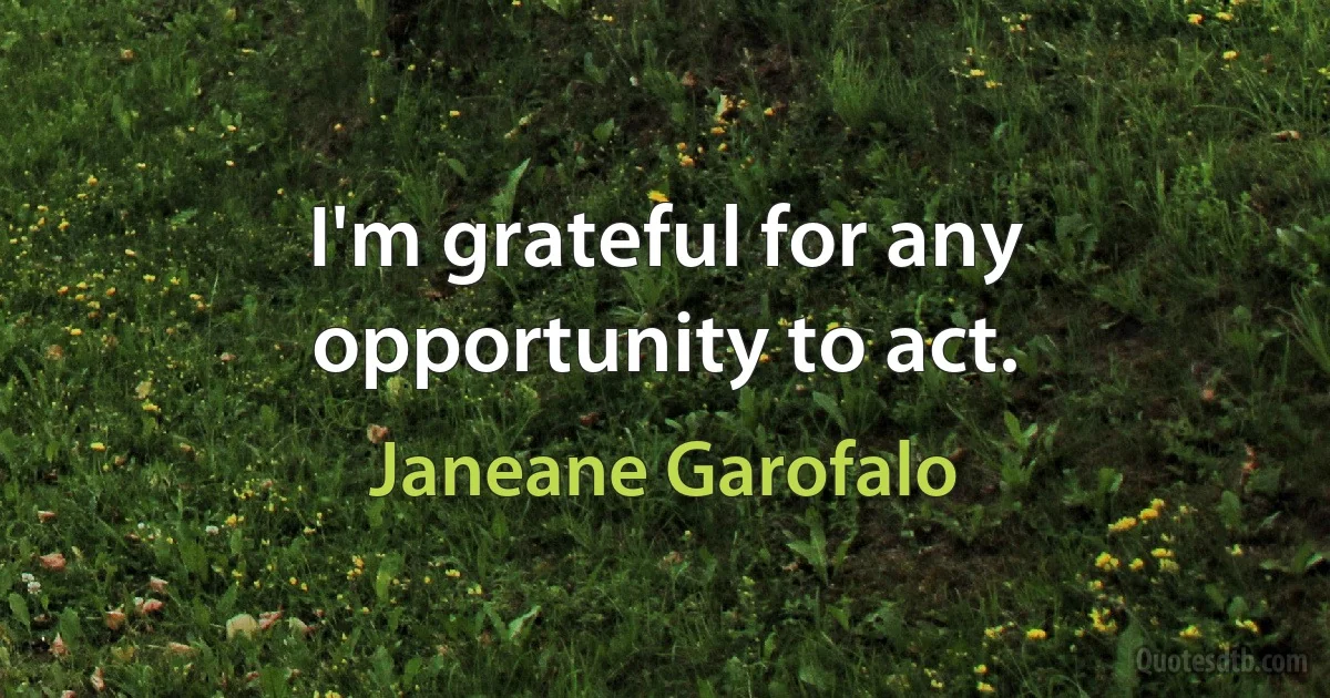 I'm grateful for any opportunity to act. (Janeane Garofalo)