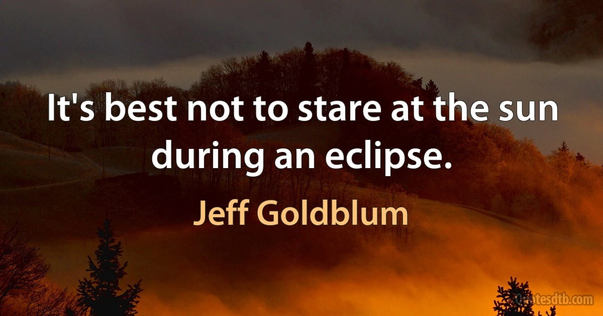 It's best not to stare at the sun during an eclipse. (Jeff Goldblum)