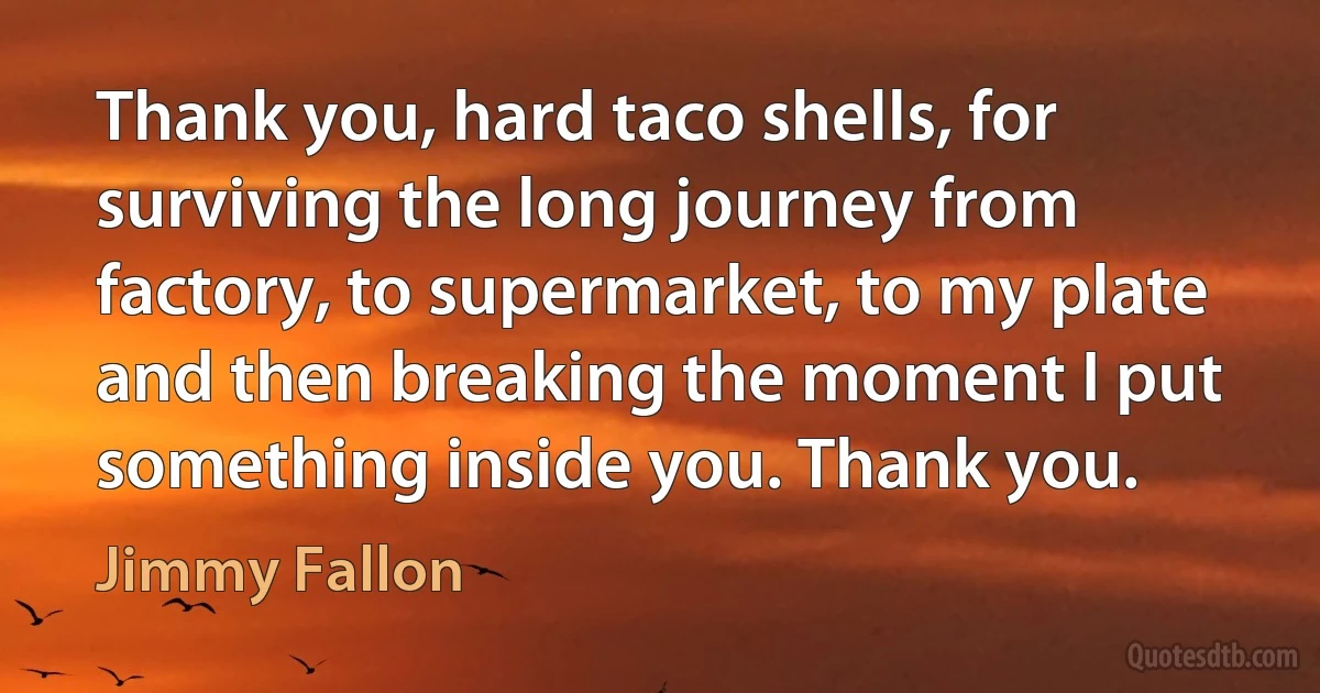 Thank you, hard taco shells, for surviving the long journey from factory, to supermarket, to my plate and then breaking the moment I put something inside you. Thank you. (Jimmy Fallon)